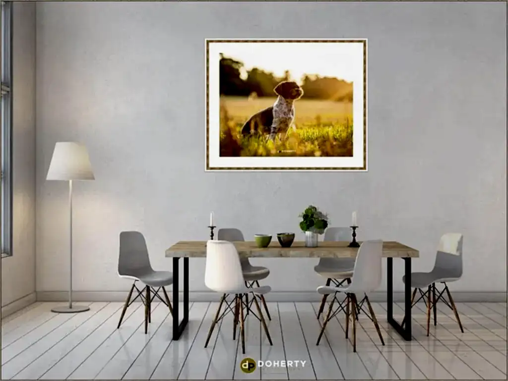Horse Portraits