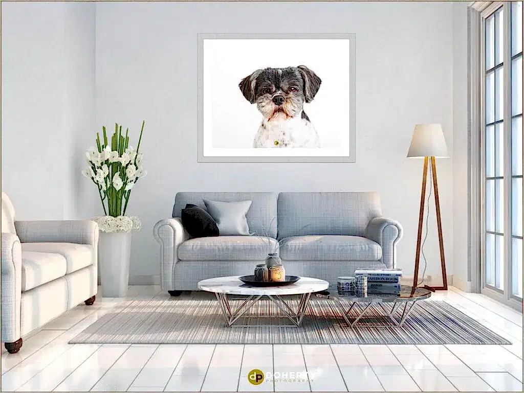 Dog Portraits