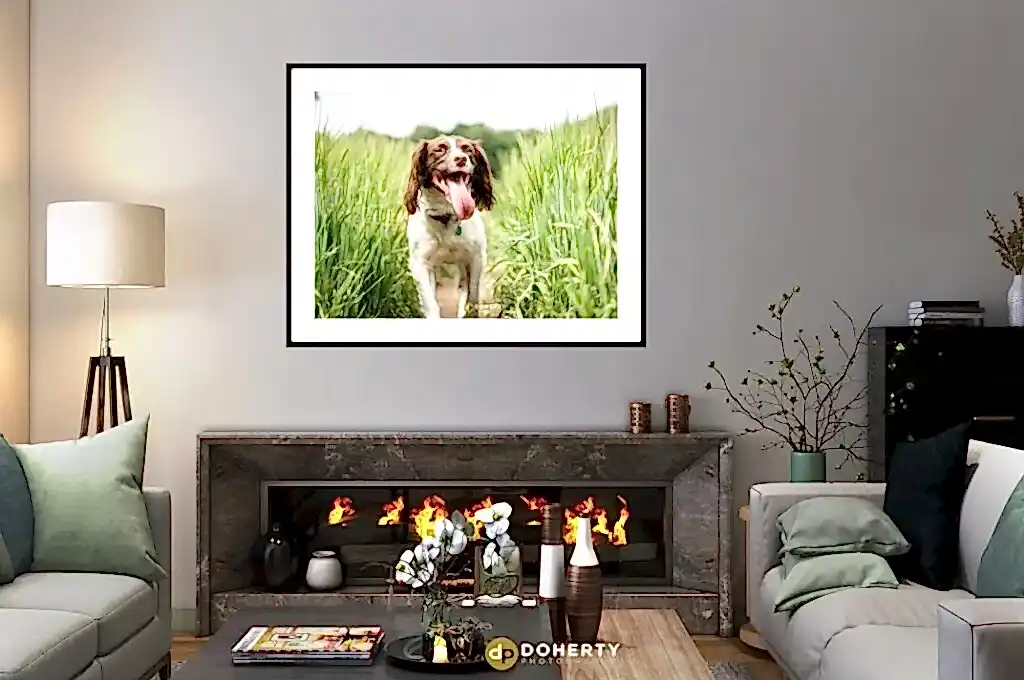 animal slider wallart